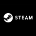 Steam Cüzdan Kodu 250 TL 