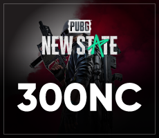 Pubg New State - 300NC