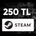 Steam Cüzdan Kodu 250 TL 